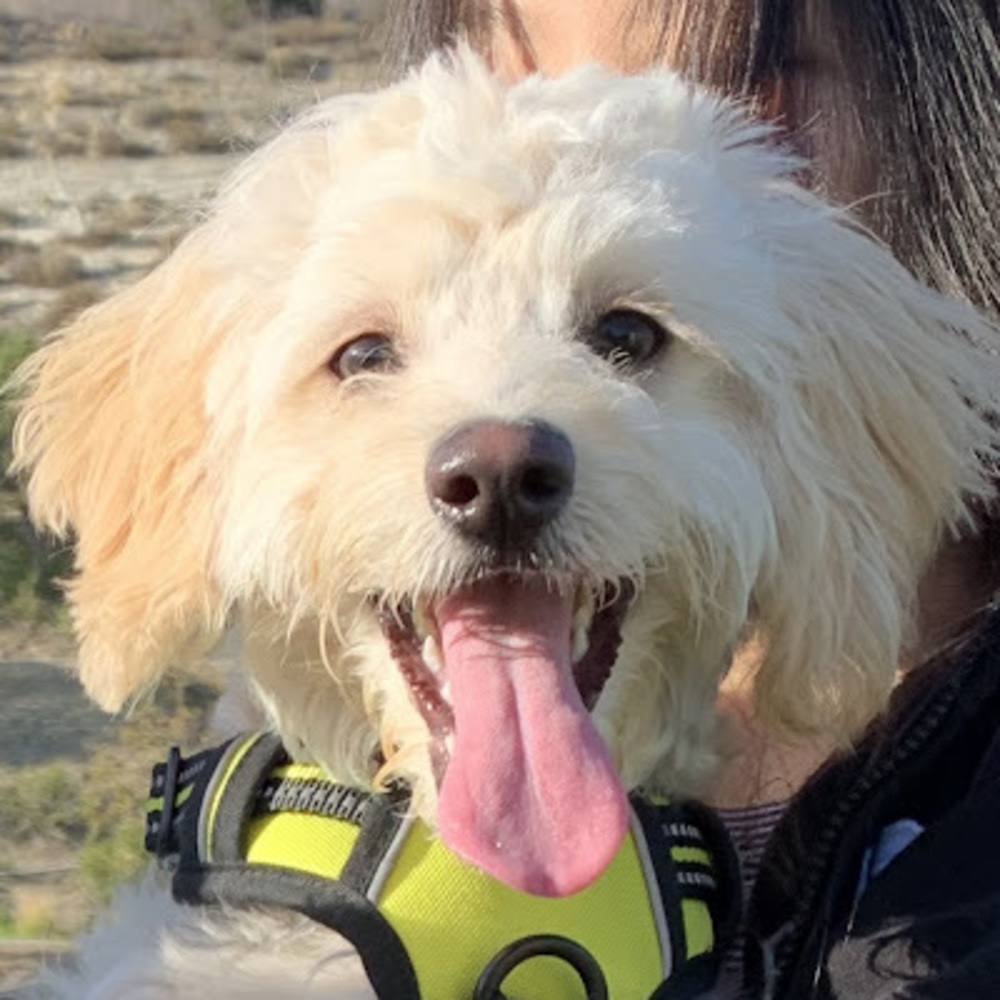 Meet your Posher, Emma